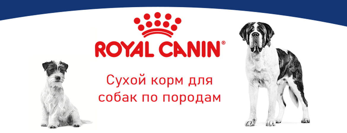 RoyalCanin_Dog_1