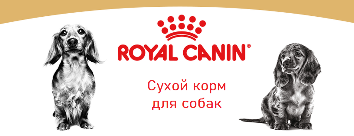 RoyalCanin_Dog_2