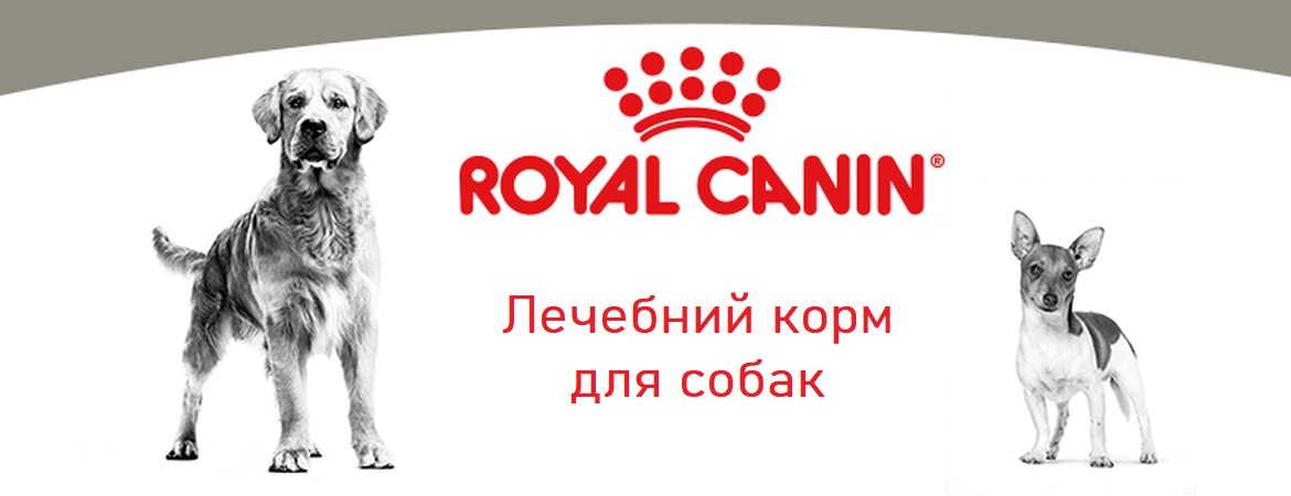 RoyalCanin_Dog_3