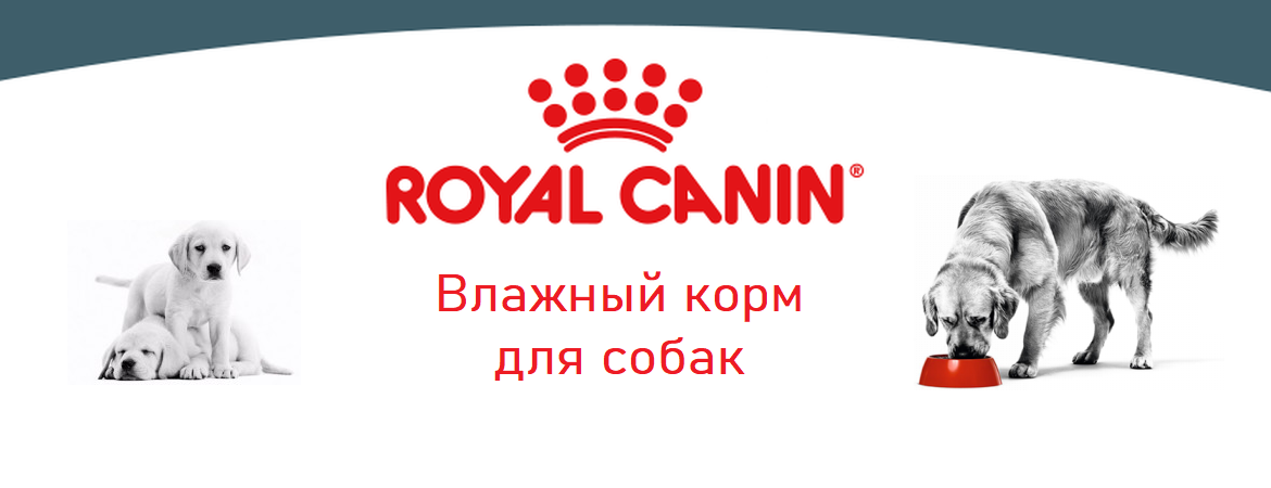 RoyalCanin_Dog_4
